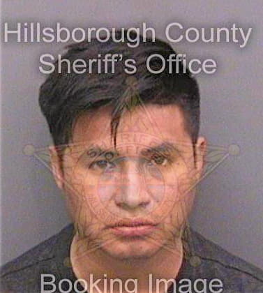 Tepetaterodriguez Mauricio - Hillsborough County, FL 