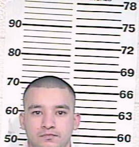 Perez Rene - Hidalgo County, TX 