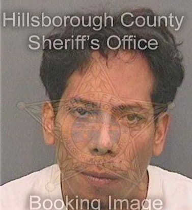 Millan Marcos - Hillsborough County, FL 
