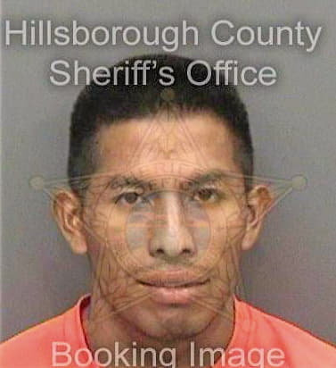 Santiagoramirez Rufino - Hillsborough County, FL 