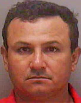 Rivas Carlos - Lee County, FL 