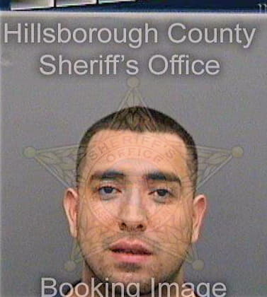 Padron Vicente - Hillsborough County, FL 