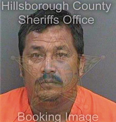 Navaramirez Sergio - Hillsborough County, FL 