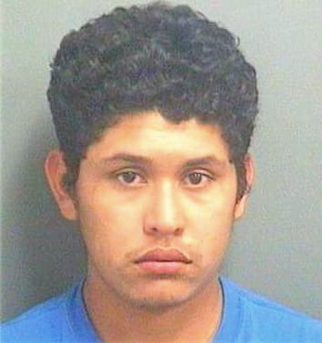 Hernandez Carlos - PalmBeach County, FL 