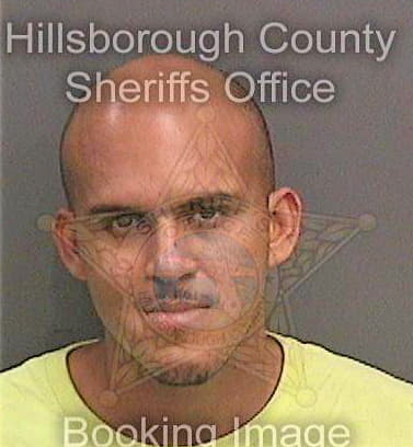 Perezperez Victor - Hillsborough County, FL 