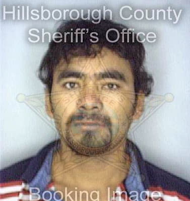 Santiagolopez Benito - Hillsborough County, FL 