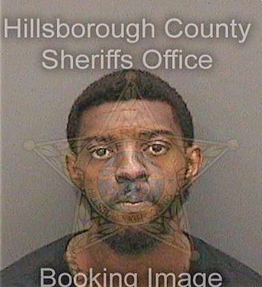 Davis Dwayne - Hillsborough County, FL 