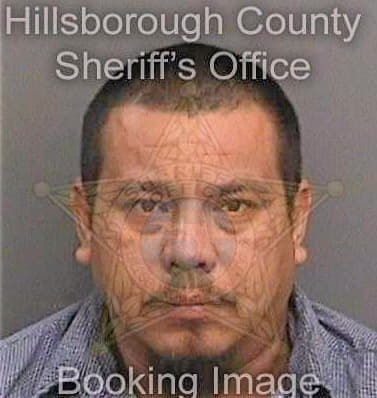 Garcia Aaron - Hillsborough County, FL 