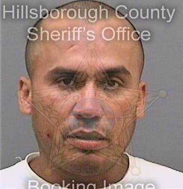 Delafuenterodriguez Alfredo - Hillsborough County, FL 