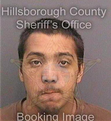 Singh Micheal - Hillsborough County, FL 