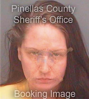 Bartlett Shannon - Pinellas County, FL 