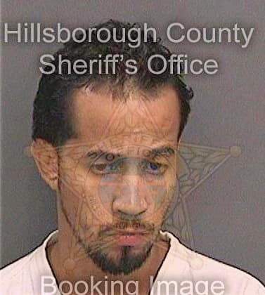 Lopez Anthony - Hillsborough County, FL 