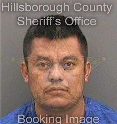 Salazarjimenez Martin - Hillsborough County, FL 