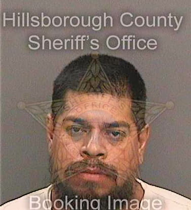 Guillen Frank - Hillsborough County, FL 