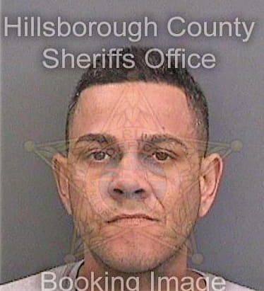 Cruz David - Hillsborough County, FL 