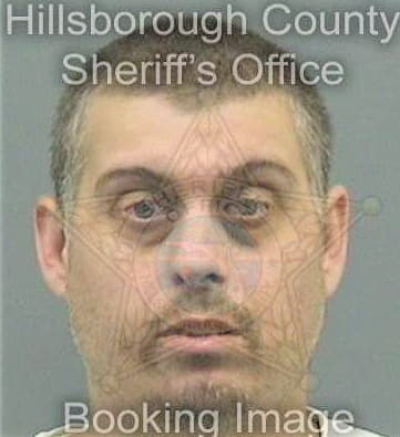 Lizarralde Albert - Hillsborough County, FL 