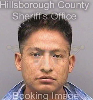 Sanchez Eugenio - Hillsborough County, FL 