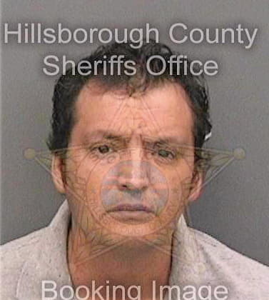 Martinez Hector - Hillsborough County, FL 