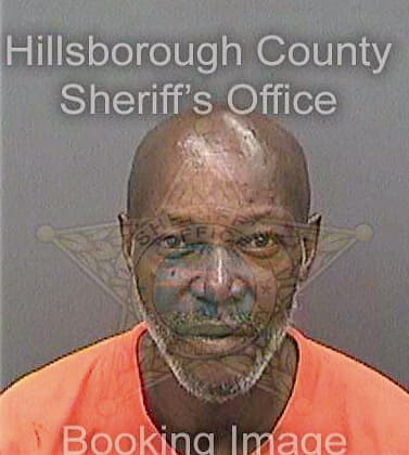 Desir Joel - Hillsborough County, FL 