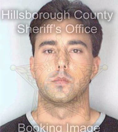 Mcpherson Brian - Hillsborough County, FL 