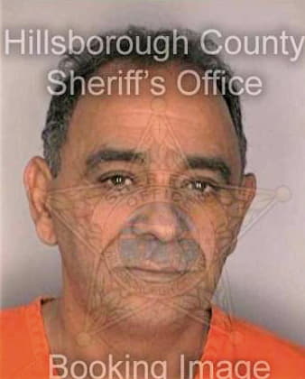 Gonzalez Gilberto - Hillsborough County, FL 