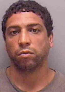 Goncalves Cristein - Lee County, FL 