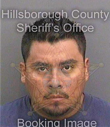 Orea Daniel - Hillsborough County, FL 