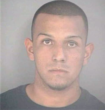 Gonzalez Jorge - Hillsborough County, FL 