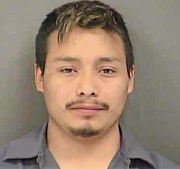 Mendoza Jose - Mecklenburg County, NC 