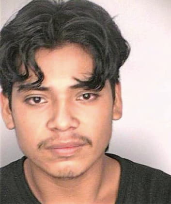 Mendez Efrain - Hillsborough County, FL 