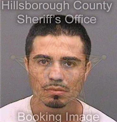 Pena Miguel - Hillsborough County, FL 