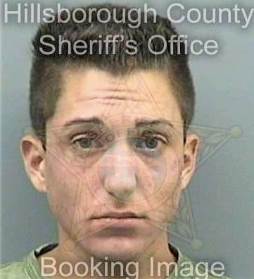 Hernandez Sergio - Hillsborough County, FL 