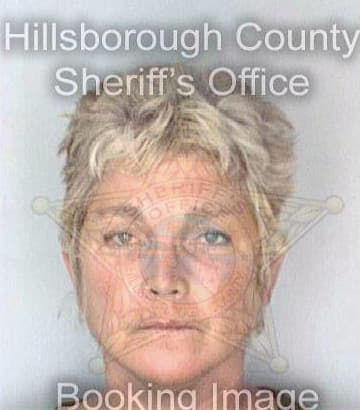 Hanson Doriann - Hillsborough County, FL 