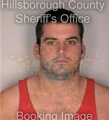 Mcginley Michael - Hillsborough County, FL 
