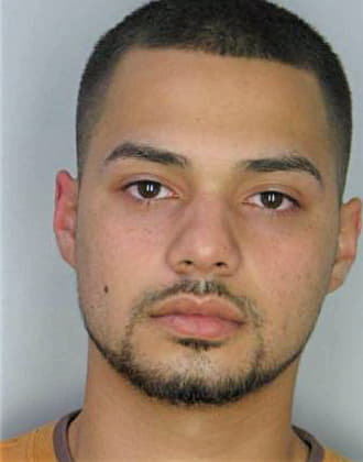 Boyer Patrick - Hillsborough County, FL 