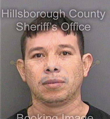 Melos-Robles Usein - Hillsborough County, FL 
