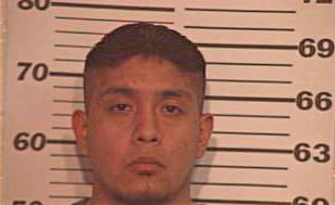 Hernandez Amado - Hidalgo County, TX 