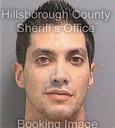 Homayoun Morteza - Hillsborough County, FL 