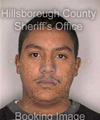 Diaz Oswaldo - Hillsborough County, FL 