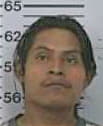 Hernandez Eliseo - Robertson County, TN 