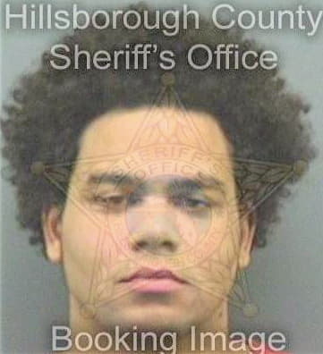 Bermudez Joshua - Hillsborough County, FL 