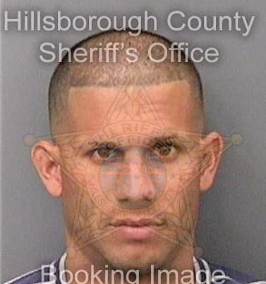 Carmona Yoandy - Hillsborough County, FL 