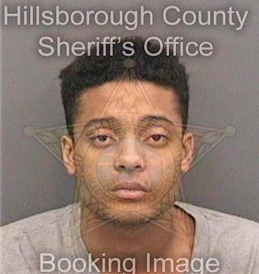 Vastey Al - Hillsborough County, FL 