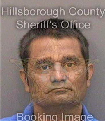 Patel Nitinkumar - Hillsborough County, FL 