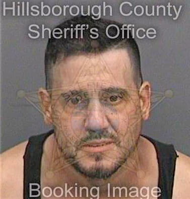 Delmoral Ezequiel - Hillsborough County, FL 