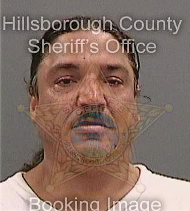 Perez Luis - Hillsborough County, FL 