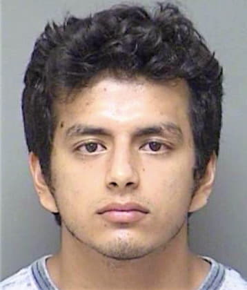 Robles Abel - Denton County, TX 