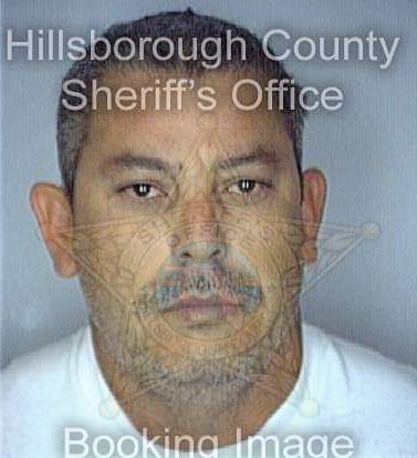 Soler David - Hillsborough County, FL 