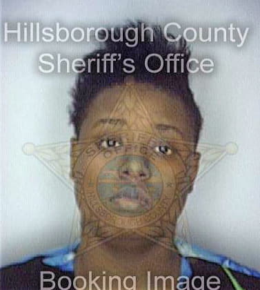 Blackman Schrice - Hillsborough County, FL 