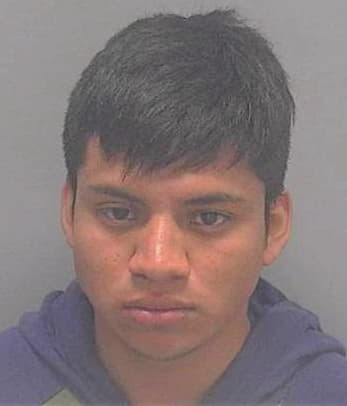 Son-Chay Fernando - Lee County, FL 